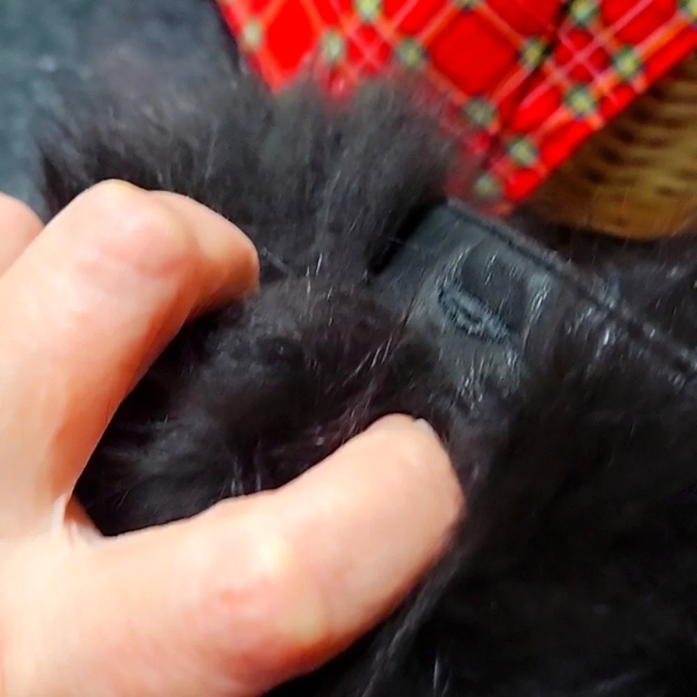 Black Fox Genuine Fur Detachable Jacket Coat Button Collar 23